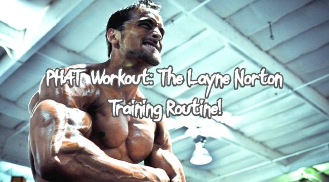 PHAT Workout Layne Norton
