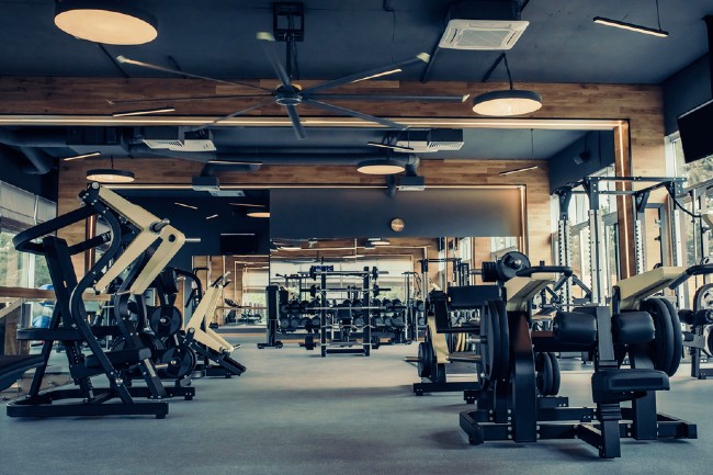 Gym Equipment Names