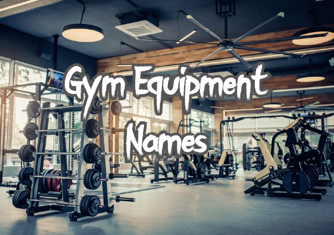 Gym Equipment Names