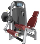Leg Extension Machine Gym Equipment Names