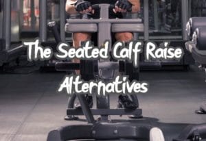 Seated Calf Raise Alternatives