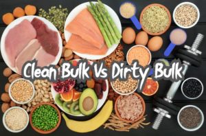 Clean Bulk Vs Dirty Bulk