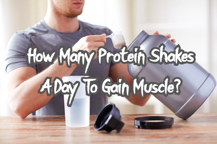 How Many Protein Shakes A Day To Gain Muscle