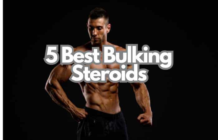 5 best bulking steroids