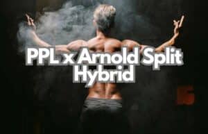 ppl x arnold split hybrid
