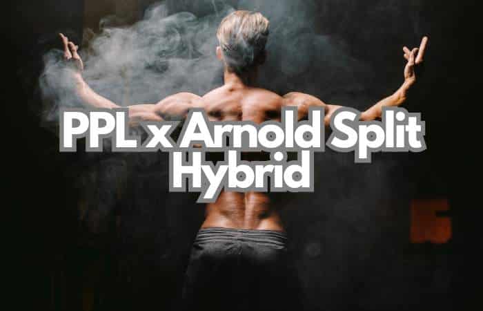 ppl x arnold split hybrid