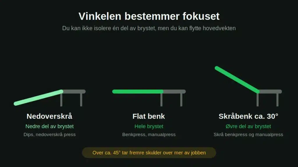 Slik er brystmuskulaturen bygd opp