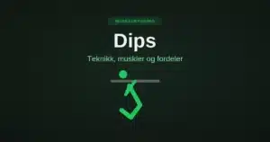 dips-hovedbilde