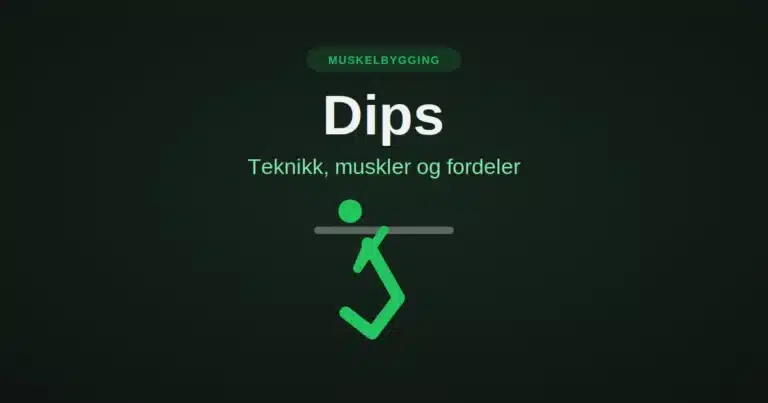dips-hovedbilde