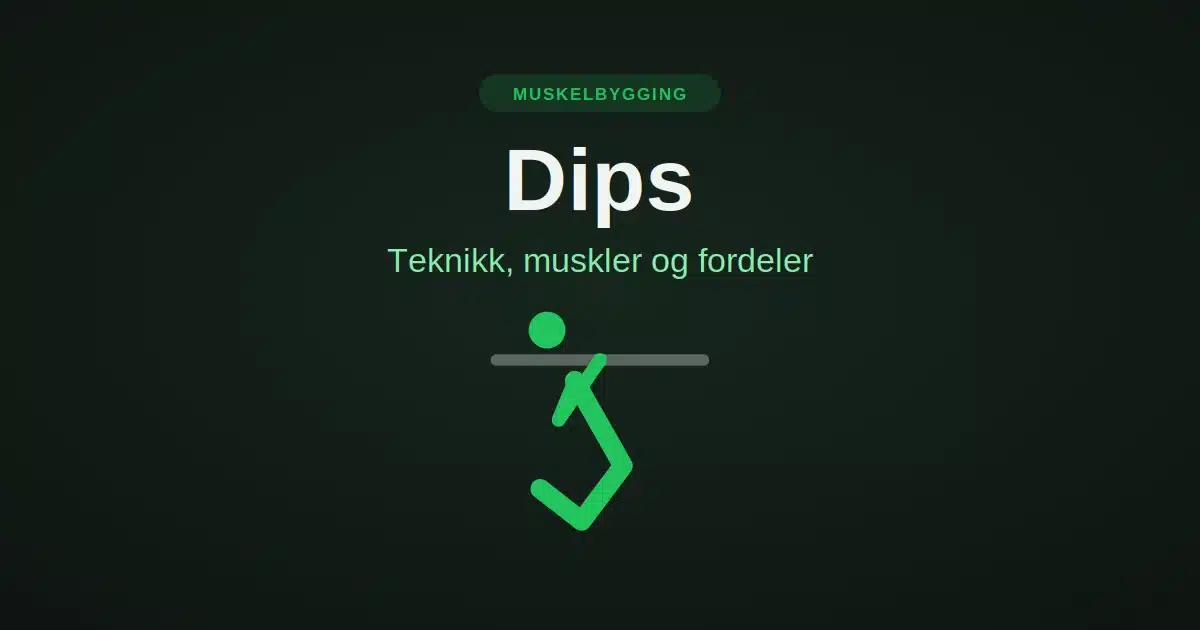 dips-hovedbilde