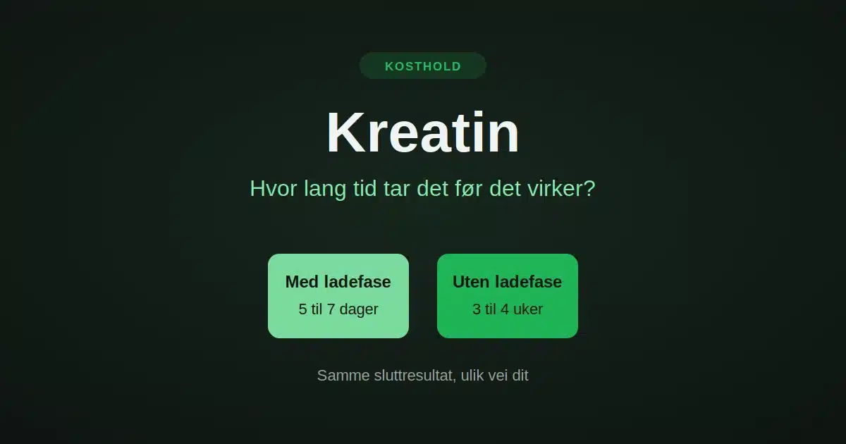 kreatin-hovedbilde.
