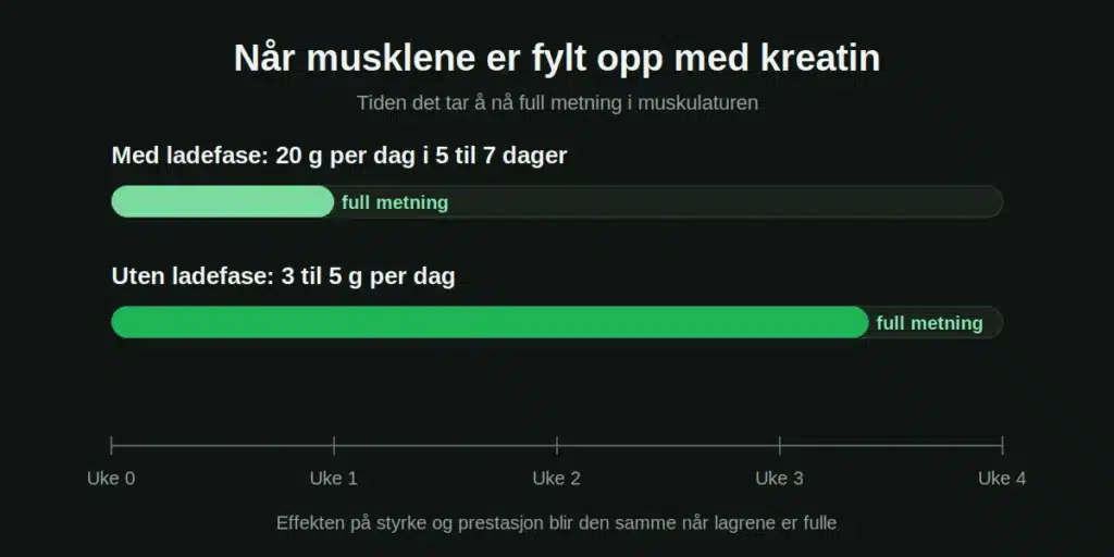 kreatin-tidslinje