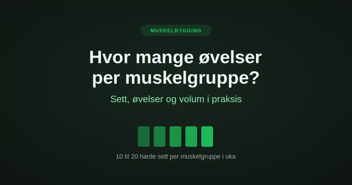 ovelser-per-muskelgruppe-hovedbilde