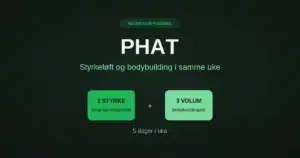 phat bilde