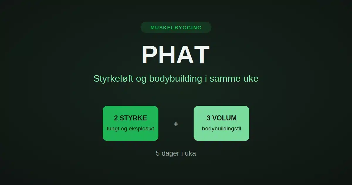 phat bilde