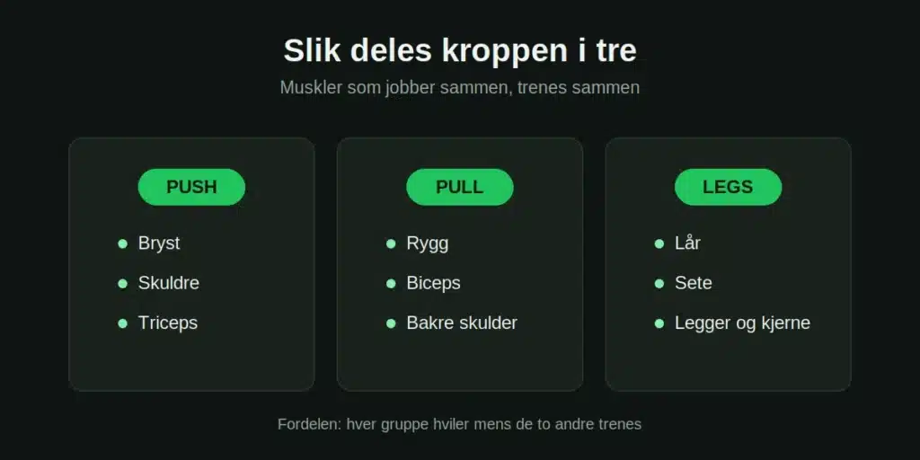 ppl-inndeling