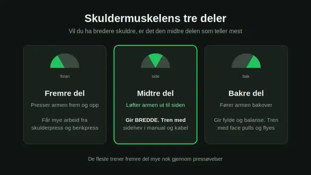 skulderovelser-tre-deler
