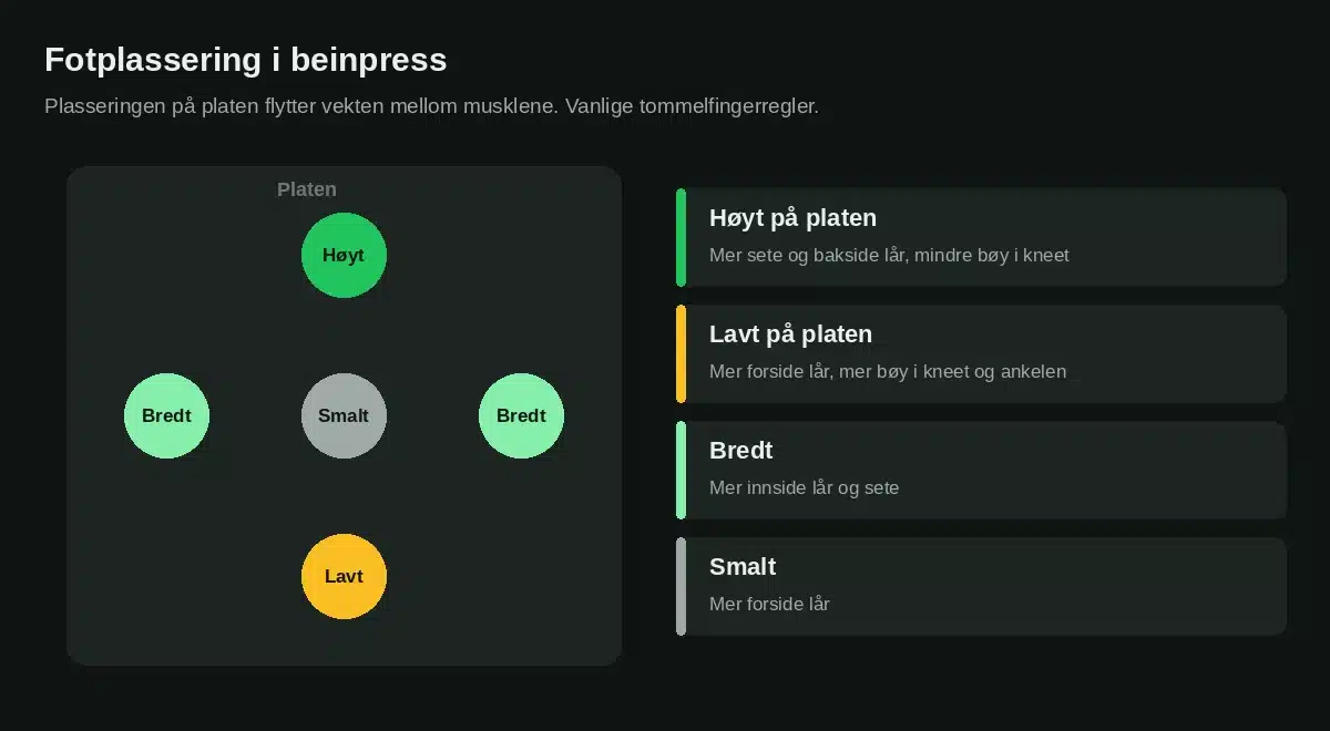 Fotplassering i beinpress og hvilke muskler som får mest belastning