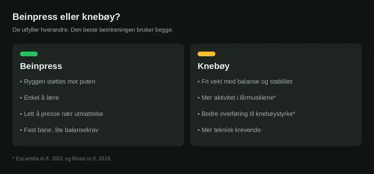 Sammenligning av beinpress og knebøy