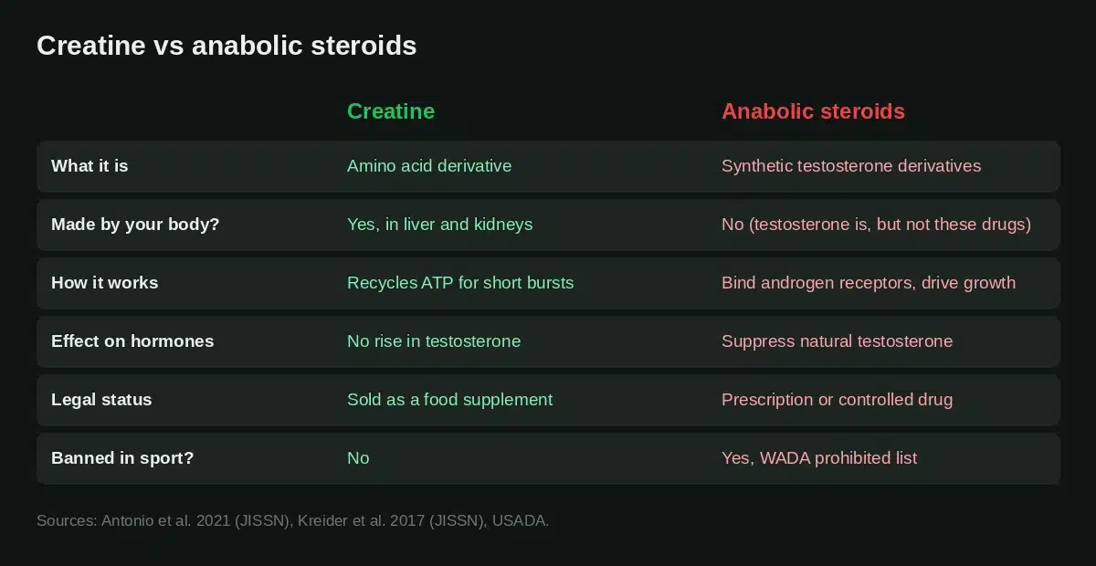 Comparison of creatine and anabolic steroids by what they are, how they work, hormone effects, legal status and sport status