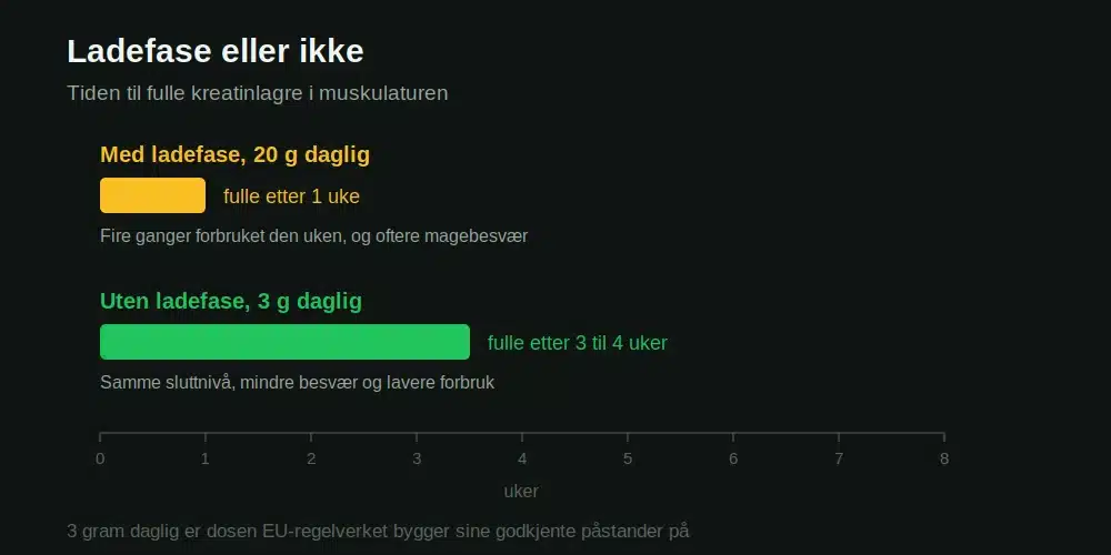 Tid til fulle kreatinlagre med og uten ladefase