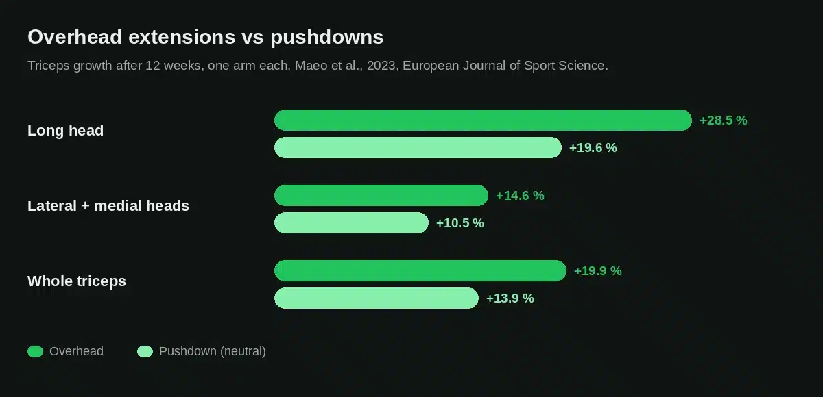 Triceps growth with overhead extensions compared with pushdowns